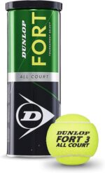 توپ تنیس DUNLOP Fort All Court TS