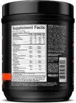 MuscleTech | - Image 2