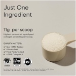 مکمل آمینو اسید برند Sports Research , دارای گواهینامه دوستدار سرخپوشان، غیر GMO و بدون گلوتن ممکن است متفاوت باشد - Image 2