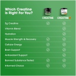پودر کراتین مونوهیدرات میکرونیزه Optimum Nutrition (ON) برای حمایت از عضله سازی - بدون طعم، 600 گرم، 120 وعده - Image 4
