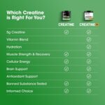 کپسول کراتین مونوهیدرات میکرونیزه Optimum Nutrition، کتو دوستانه، 2500 میلی گرم، 100 کپسول - Image 4