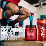 مکمل ریکاوری پس از تمرین BSN CellMass 2.0 با طعم آرکتیک بری – حاوی کراتین، BCAA و گلوتامین، مناسب رژیم کتو، ۲۵ سروینگ - Image 4