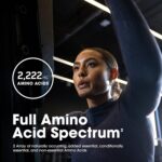 قرص آمینو 2222 اپتیموم نوتریشن (Optimum Nutrition Superior Amino 2222) – حاوی آمینواسیدهای ضروری (EAAs)، ۱۶۰ عددی - Image 3