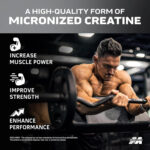 پودر کراتین مونوهیدرات MuscleTech Platinum 100% Creatine – بدون طعم، ۴۰۰ گرم - Image 4