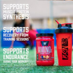 پودر آمینواسید BSN AMINOx® – طعم انگور (Grape)، ۴۳۵ گرم، ۳۰ سروینگ - Image 3